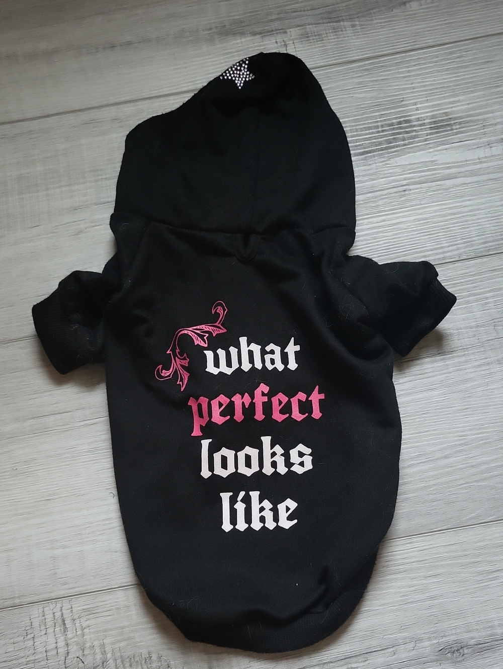 Velcro Dog Hoodie